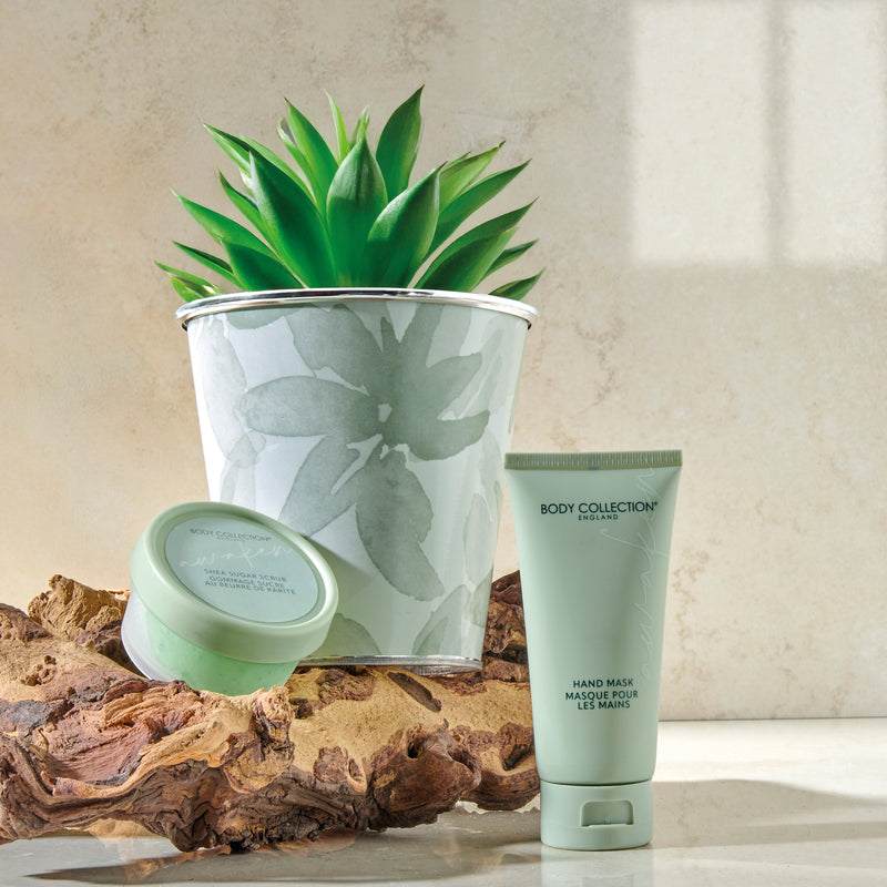 Body Collection Plant Pot Gift Set