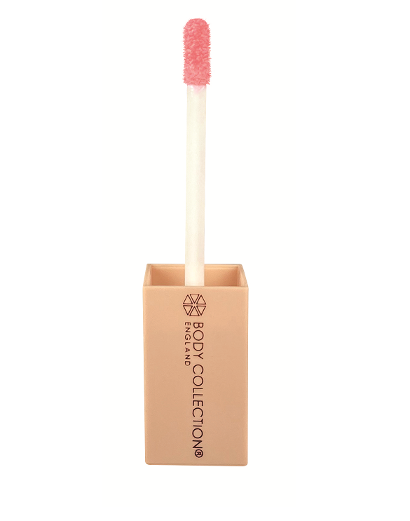 BODY COLLECTION NUDE COLLECTION PLUMPING LIPGLOSS SUGAR AND SPICE